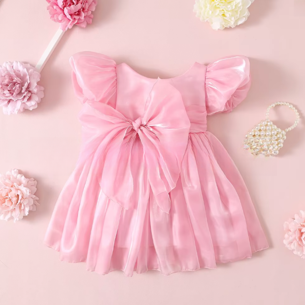 Rochie cu detalii Flaria Roz
