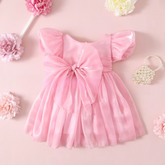 Rochie cu detalii Flaria Roz