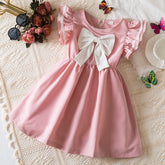 Rochie cu detalii Caelith Roz